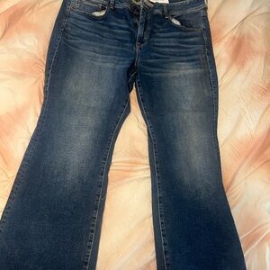 American Eagle Outfitters Blue Flare Wide Leg Jeans
